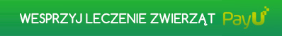 Wesprzyj leczenie zwierząt